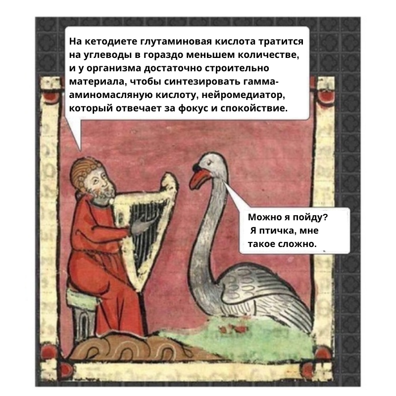 гусь в кетозе