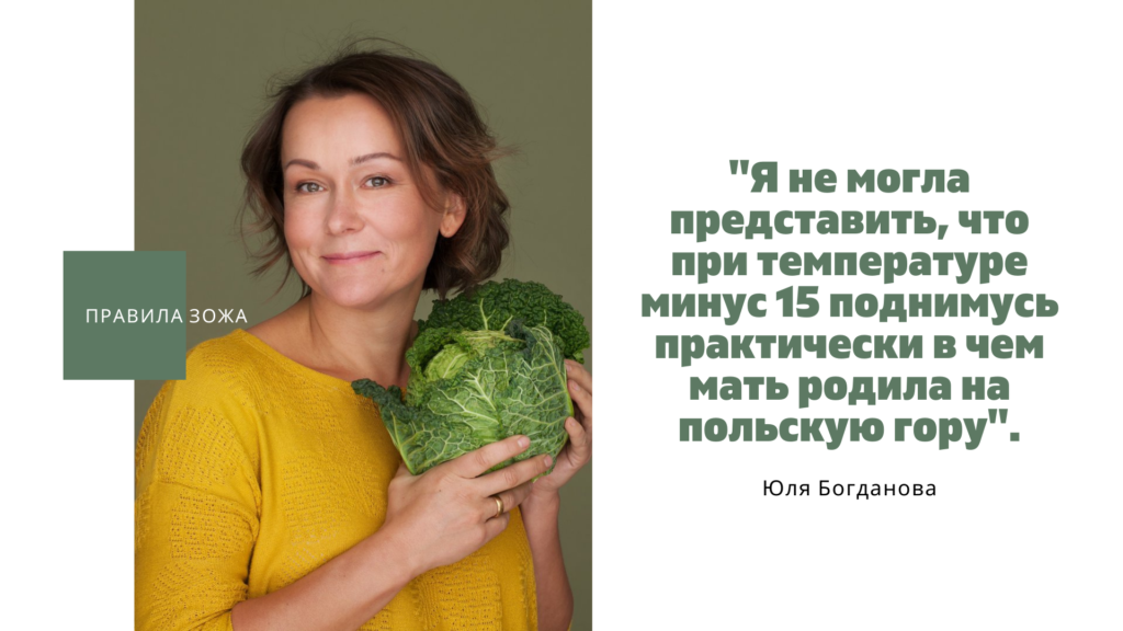 Правила зож