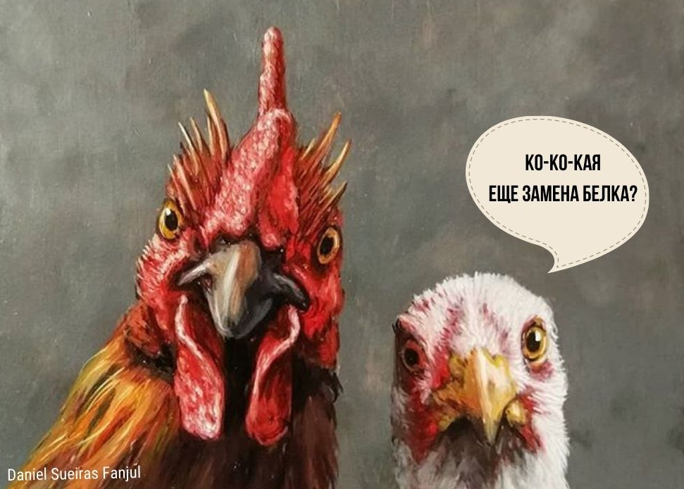 источник белка