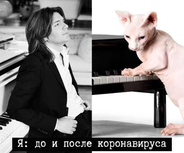 восстановление после ковида. маликов и кот