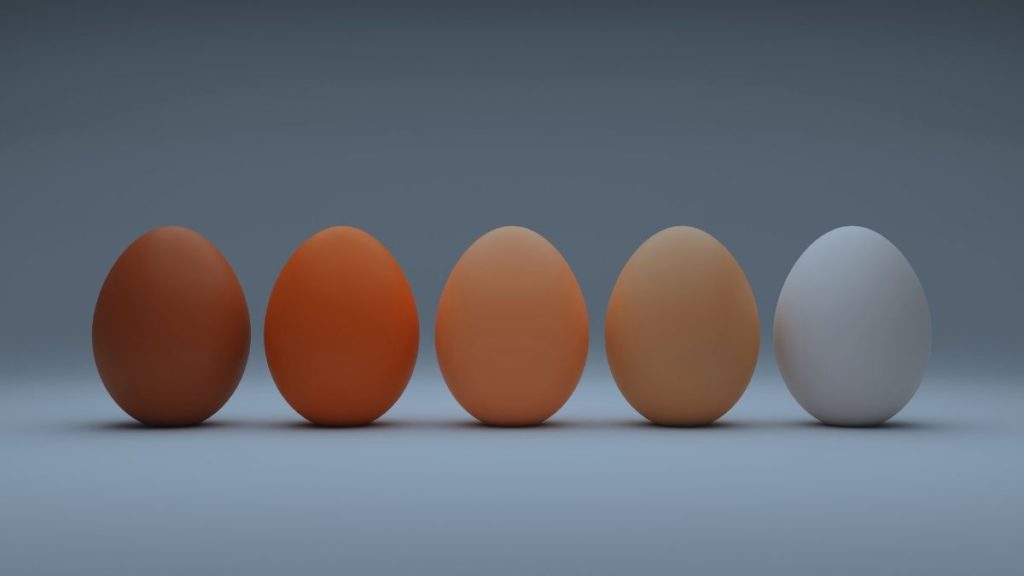 источники белка